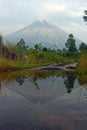 Beautiful view of Mount Semeru with reflection on a puddle. Royalty Free Stock Photo