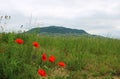 Beautiful view of Mount Szent Gyorgy