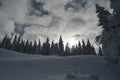 Vacation on the mountain, Jahorina. Royalty Free Stock Photo