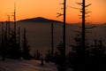 Beautiful view on mountain peak during sunset. Winter forest, trees, snow covered meadow Royalty Free Stock Photo