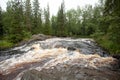 Beautiful view on mountain river, fast water flow in forest