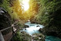 Beautiful view of mountain river, sun light through the trees, traveling in Slovenia, Vintgar. Hiking in Europe