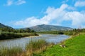 Beautiful view of the mountain river. Trips. Summer Royalty Free Stock Photo