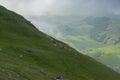 Beautiful view of the mountain slope and a herd of sheep grazing in the meadow. Clouds over the valley. Royalty Free Stock Photo