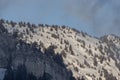 Beautiful view of mountains in Utah covered in conifers and late spring snow, USA Royalty Free Stock Photo