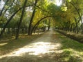 Beautiful view of a village named Malmapanpora Sopore