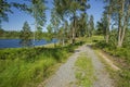 Beautiful view of nature landscape on sunny summer day. Green tall trees on lake coast line. Royalty Free Stock Photo
