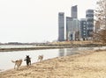 A beautiful view of new Toronto buildings and dogs running to it Royalty Free Stock Photo