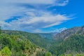 Beautiful view from Oak Creek Vista in the mountains of Arizona pine forest. Royalty Free Stock Photo