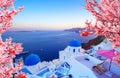Beautiful view of Oia, Santorini, Greece with pink blossoms flowers at beautiful spring sunset. Vintage colored picture Royalty Free Stock Photo