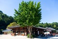 A beautiful view at an old Korean traditional wooden souvenirs shop in a hanok town. Royalty Free Stock Photo