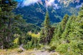 Beautiful view of the Olympic Mountain Range, Olympic National Park, Washington, USA