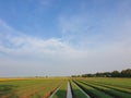 beautiful view of onion gardens and rice fields with blue sky