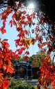 View of the pavilion through the autumn foliage with sunbeams