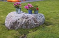 Beautiful view of outdoor outdoor decorating. Colorful lowers in buckets on big rock on green lawn. Royalty Free Stock Photo