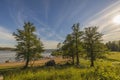 Beautiful view over green tops of forest trees under sun rays. Beautiful nature backgrounds. Royalty Free Stock Photo