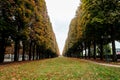 Beautiful view over the trees in Erevan Garden symmetrically put in order in Paris on a cloudy day Royalty Free Stock Photo