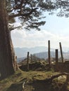 Mountain top vista in the English Lake District; pine tree, fence and hazy mountains Royalty Free Stock Photo