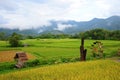 Beautiful view of paddy field water wheel Royalty Free Stock Photo