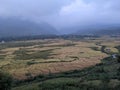 Beautiful view of the paddy fields at Ziya village near Palampur, Himachal Pradesh