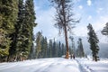 View of pahalgam valley, Pahalgam, Kashmir, India