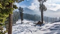 View of pahalgam valley, Pahalgam, Kashmir, India