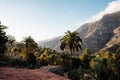 Beautiful view of palm trees and mountains in the horizon from a roof top of a house. Morning light, sunrise in Gran Canaria Royalty Free Stock Photo