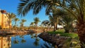 Beautiful view of palm trees at sunset in Soma Bay, Hurghada, Egypt Royalty Free Stock Photo