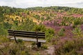 Beautiful view with park bench in the LÃÂ¼neburg Heath Nature Park Nature Reserve during the heath blossom, Totengrund, Northern Royalty Free Stock Photo