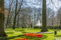 Beautiful view of a park with green grass, trees, red, yellow and lilac tulips with a fountain