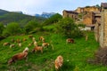 Beautiful view of the pastoral village of Yeba in the Pyrenees mountains Royalty Free Stock Photo