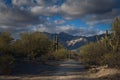 A path through the desert near Tuscon Arizona with the Catalina mountains in the background