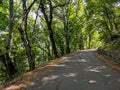 Beautiful view of the pedestrian road under the crowns of green trees on Mount Mashuk in the resort town of Pyatigorsk. Pyatigorsk