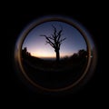 Beautiful view from the peephole to the tree at sunset