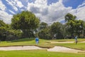 Beautiful view of people play in golf on golf course on palm trees background.