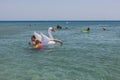 Beautiful view of people swimming in sea. Couple on inflatable white swan on front.