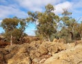 Kanyaka Waterhole, Flinders Ranges Australia
