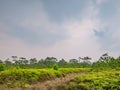 Beautiful View on Phu Kradueng mountain national park in Loei City Thailand.