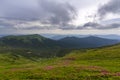 Beautiful view of pink rhododendron rue flowers blooming on mountain slope with foggy hills with green grass and Carpathian mount Royalty Free Stock Photo