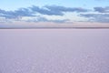 Beautiful view of a pink salt lake. Azov Ukraine