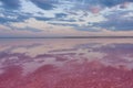 Beautiful view of a pink salt lake. Azov Ukraine