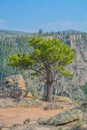 Beautiful view from Pioneer Point on the Black Canyon North Rim, Colorado