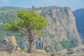 Beautiful view from Pioneer Point on the Black Canyon North Rim, Colorado