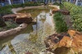 Beautiful view of pond decorated with big rocks. Clear water mirror surface effect Royalty Free Stock Photo