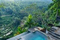Beautiful view from the pool to the jungle