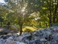 Beautiful view from priory park Chichester from the wall Royalty Free Stock Photo