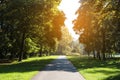 Beautiful view of public city park with pathway on sunny day Royalty Free Stock Photo