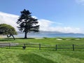 A beautiful view from a public viewing area of the green of the 18th hole at pebble beach golf course with the ocean Royalty Free Stock Photo