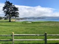 A beautiful view from a public viewing area of the green of the 18th hole at pebble beach golf course with the ocean Royalty Free Stock Photo