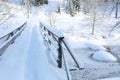 Beautiful view of railings, trees and bushes covered with snow on winter day Royalty Free Stock Photo